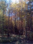 IMG_20141027_110334_942.jpg