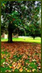 DSC04389.jpg
