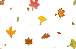 Autumn-animated-leaves-falling-31000.gif