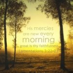 his-mercies-are-new-wallpaper_1366x768-400x400.jpg