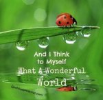 what a wonderful world.jpg