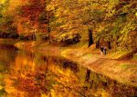 bucks-county-fall-foliage-680.jpg