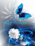 good-weekend-days-of-week-gif-s-love-my-pics-art-photography-glitter-days-of-the-week-butterflie.jpg
