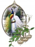 glitter-graphics-peacocks-628431.jpg