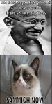 ghandi-grumpy cat.jpg