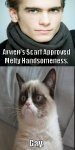 scarf-grumpy cat.jpg