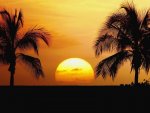 Hawaii-Beach-Sunset-Pictures1.jpg