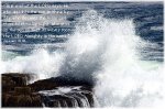 waves2.jpg