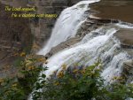 bible-quotes-wallpapers-desktop-852.jpg