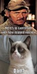 quint vs grumpy cat.jpg