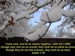 Isaiah 1 verse 18.jpg