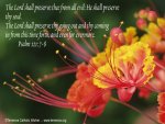 psalm121_7-8.jpg