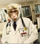 Cool-Monkey-Doctor.jpg