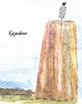 img001.jpg