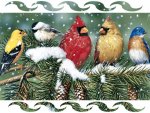 cardinals-and-friends-birds.jpg