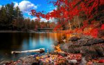 beautiful-nature-fall-wallpaper-2.jpg