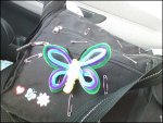 Eddie the Butterfly.jpg