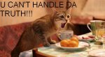 u_can__t_handle_the_truth_cat_by_vmanga-d3d1rjb.jpg u_can__t_handle_the_truth_cat_by_vmanga-d3d1rjb.jpg