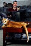 05cats.1-500.jpg 05cats.1-500.jpg