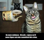 badcats14.jpg