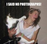 badcats1.jpg