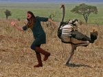 amelia_ostrich.jpg