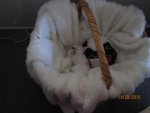 IMG_0125.jpg
