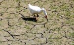 drought.jpg drought.jpg