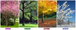 seasons.jpg seasons.jpg