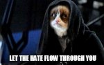 star wars dark side cat.jpg