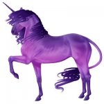 unicornp.jpeg