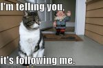 catz.jpg