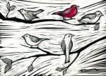 The Little Red Bird and friends.jpg