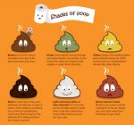 poop-the-health-indicator-e1414605068567.jpg