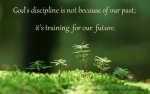 God's discipline.jpg