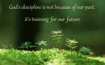 God's discipline.jpg God's discipline.jpg