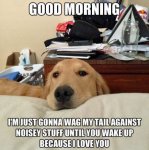 because-i-love-you-dog.jpg