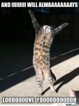 when-my-girlfriend-says-i-love-you_o_1075807.jpg