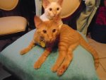 DSC00321.jpg
