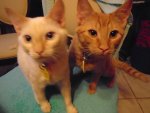 DSC00322.jpg
