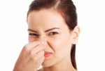 smell-340x227.png smell-340x227.png
