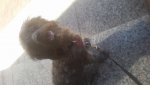 20160220_124549.jpg 20160220_124549.jpg