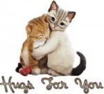 kitty_hugs-ae9f2b2782449ef0a2e66349a1c9e926.jpg