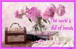 peonybeautycc.jpg peonybeautycc.jpg
