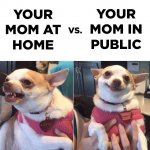 chihuahua.jpg