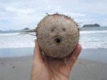 coconut-face.jpg