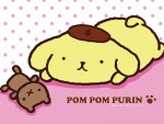 Pom-Pom-Purin-sanrio-2712314-1024-768.jpg