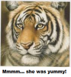 tiger.png