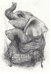 praying elephant.jpg praying elephant.jpg