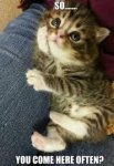 2016-03-09-13-25-34-1280617219.jpeg 2016-03-09-13-25-34-1280617219.jpeg